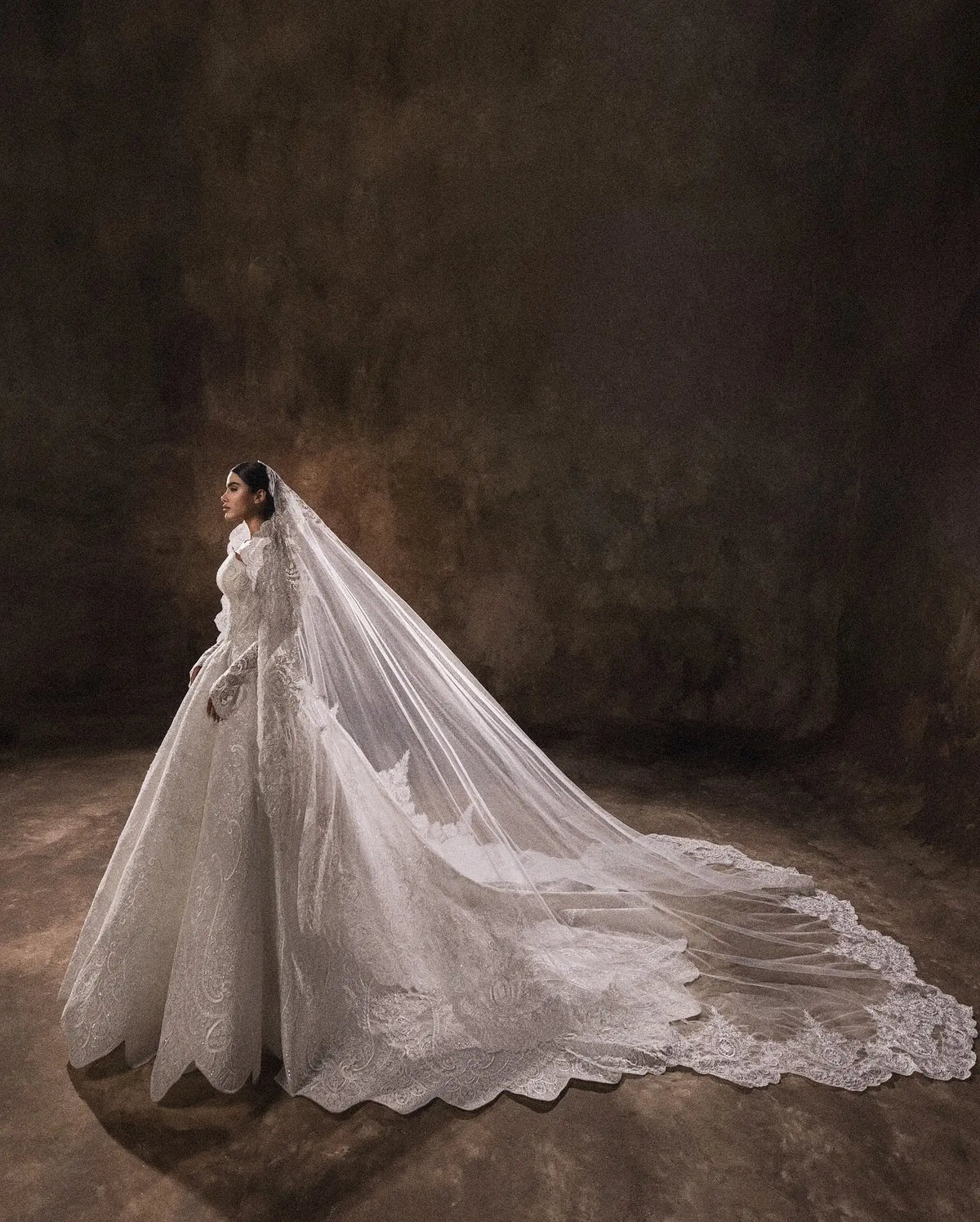 Luxury White Lace Long Sleeve Fitted Train Wedding Dress with Veil SW524 Luxury White Lace Long Sleeve Fitted Train Wedding Dress with Veil SW524